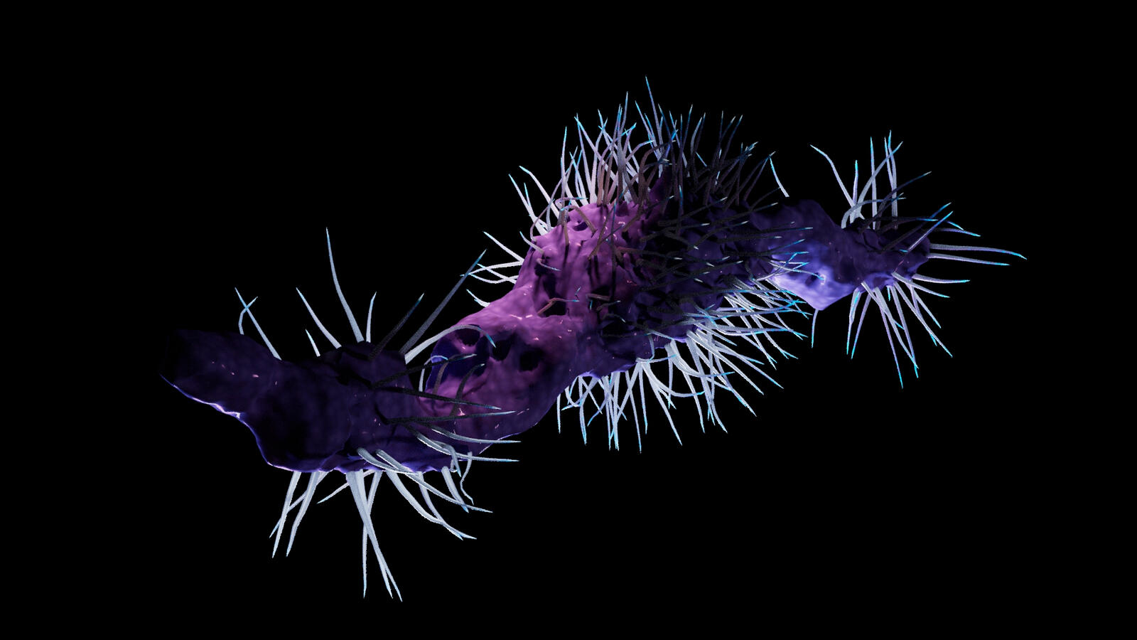 Hepatitis B Virus