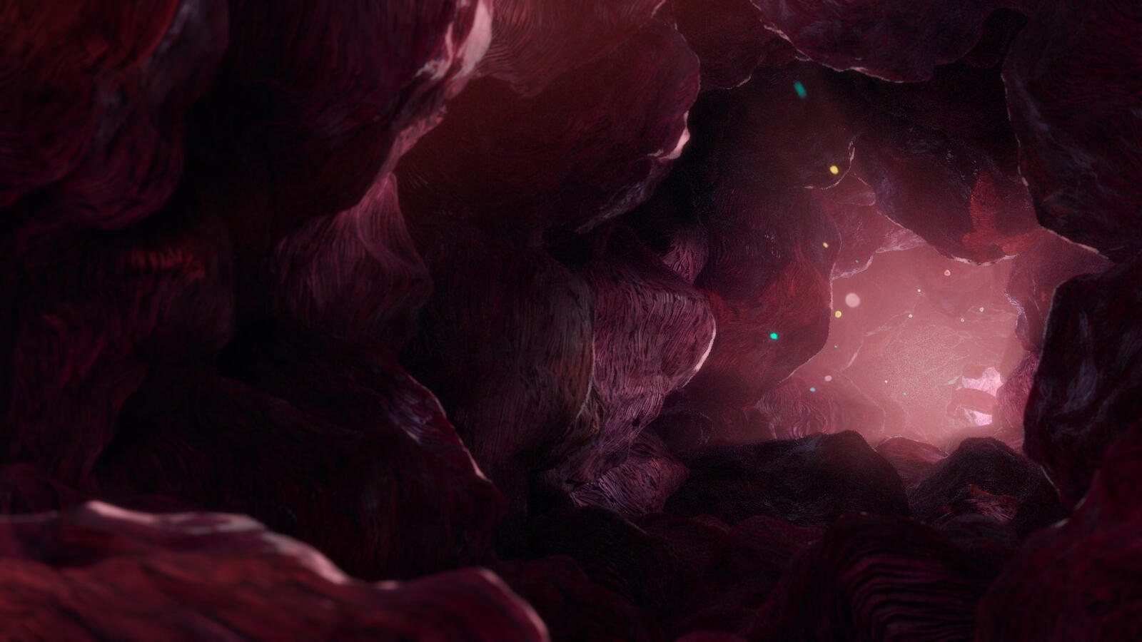 Blood Vessil Still